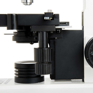 CELE-STRONN LABS CB2000C Compound Binocular <b>Microscope</b> with 5.5 x 5.5" Mechanical Stage - Product Image 3