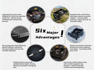 <span class=keywords><strong>Tondeuse</strong></span> industrielle télécommandée robuste pour pentes Vigorun Tech (VTLM800) avec attelage, télécommande industrielle, minuterie, balance - Product Image 4