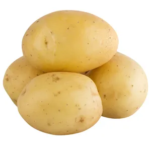 New Crop Popular Vegetables Fresh Potatoes Supplier 100% Organic Wholesale Potatoes Fresh Potato of China with High Quality