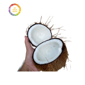 Noix de coco mature en vrac bon marché pour l'exportation avec une teneur élevée en viande et une qualité fiable de la ferme directe - Product Image 1