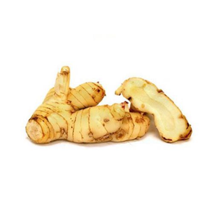 GALANGAL 100% NATURAL DE PRIMERA CALIDAD CONGELADO EN LONCHAS HECHO EN VIETNAM - Product Image 4