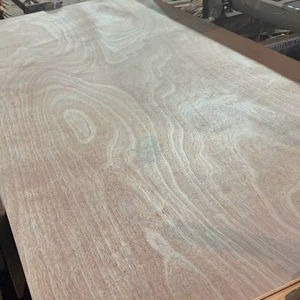 HCPLY LUCYPLYWOOD 15mm contrachapado impermeable comercial WBP pegamento núcleo de eucalipto para gabinetes de hotel almacenes-Directo a Vietnam - Product Image 1