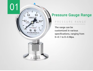 High Precision Anti Corrosion Shock Resistant Industrial Pressure <strong>Gage</strong> for Duty Machinery Maintenance - Product Image 5