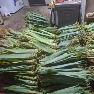 100% feuilles de bambou séchées au soleil naturelles grande taille 9cm + marque HNIECO 12 mois durée de conservation prix compétitif direct Vietnam pour gâteau - Product Image 1