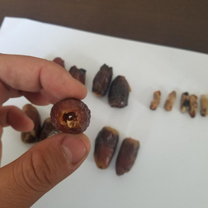 Máquina Deshuesadora de Cerezas Industrial 2022, Mini Máquina para Quitar el Hueso de Cerezas Ácidas para el Procesamiento de Frutas y Verduras, Durazno, Manzana, Pera - Product Image 6