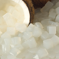 Beste Dessert Natuurlijke Nata De Coco Kokosnoot Jelly Pudding Hoge Kwaliteit Met Beste Prijs Export Uit Vietnam