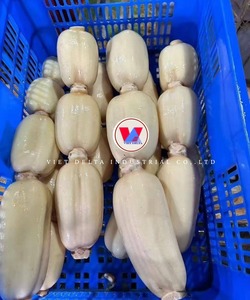 Tiges de lotus entières et coupées en tranches, 100% naturelles, qualité export grade A, durée de conservation de 24 mois, pour la vente en gros - Product Image 6