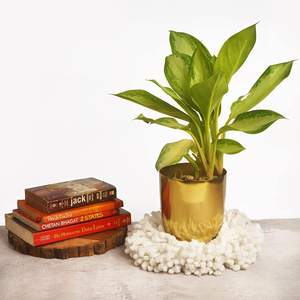 Direct Factory Supply Antique Style Metal Planter <b>Vase</b> Classic Elegance <b>Engraved</b> Iron Available in Bulk Quantity From India - Product Image 5