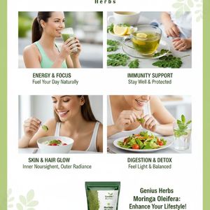 Polvo de Hoja de Moringa Cultivada Orgánicamente, Nutrición Verde Premium, Calidad de Exportación, Hierbas Geniales - Product Image 4