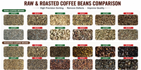Trieuse chromatique et déstonneuse IA CCD Q16 pour grains de café verts - Certificat CE, Vente directe usine