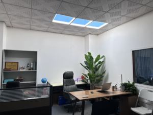 Panneau LED intelligent encastré ultra-fin de 46 mm, <span class=keywords><strong>ciel</strong></span> <span class=keywords><strong>bleu</strong></span>, moderne, avec contrô<span class=keywords><strong>le</strong></span> par application WiFi - Product Image 4