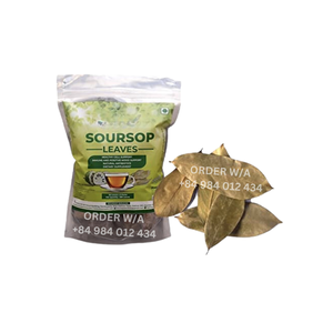 Hojas secas de Guanábana Hojas enteras naturales perfectas para el té de hierbas y el bienestar - Product Image 3