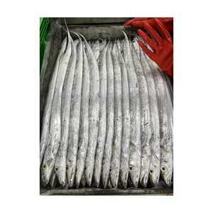 Suministro al por mayor de pescado congelado Ribbon Fish a precio asequible, pescado congelado nutritivo - Product Image 5