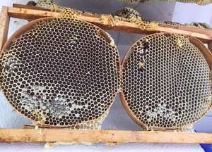 Elazig miel de peigne sauvage miel brut pur de haute qualité % 100 miel brut pur additif - Product Image 2