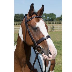 Brida redonda para caballos, brida para caballos ecuestres, bridas para caballos, bridas portuguesas - Product Image 1