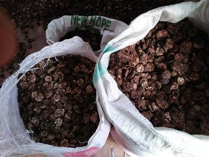 TRANCHES NON SÉCHÉES/ÉTIQUETTE PROPRE/À BASE DE PLANTES/FORME DE FRUITS NATURELS - Product Image 3