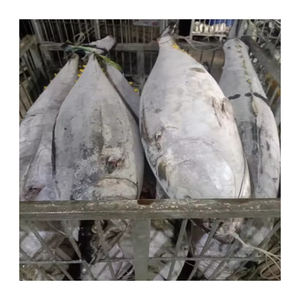 Atún Amarillo Congelado de Primera Calidad, Bajo en Carbohidratos y Libre de Grasas Trans, Disponible para Suministro a Granel con Entrega Rápida - Product Image 1