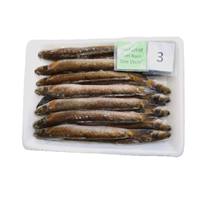 Envase al vacío BQF de pescado de gobio redondo entero congelado de origen salvaje de Vietnam para compradores de mariscos al por mayor - Product Image 6