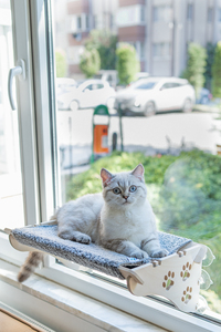 Haute qualité en bois et 100% coton chat fenêtre perchoir lit couverture amovible utilisation intérieure été hiver tenture murale hamac-meilleur prix - Product Image 4