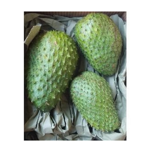 SOURSOP CONGELÉ EST UN BON PRIX AVEC UNE QUALITÉ STANDARD - Product Image 1