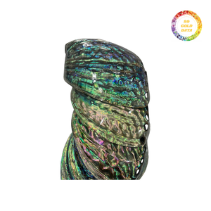 เปลือกหอยเป๋าฮื้อหลากสีสันเป็นมิตรต่อสิ่งแวดล้อมสำหรับทำเครื่องประดับงานฝีมือตกแต่งบ้าน - Product Image 4