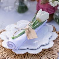 Vente en gros de napperon en jacinthe d'eau écologique naturelle pour la table à manger, la décoration de mariage, tapis de chargeur tissé du Vietnam