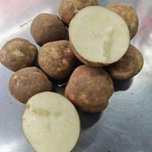 Pommes de terre fraîches biologiques en gros - Approvisionnement en vrac à prix avantageux pour la vente - Product Image 3
