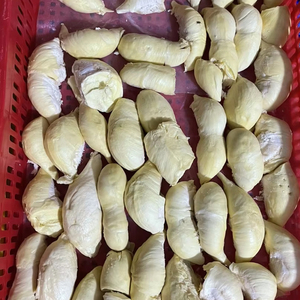 เยื่อทุเรียนแช่แข็งแบบเวียดนามส่วนผสมของผลไม้เมืองร้อนครีมสำหรับบาร์สมูทตี้โรงงานผลิตอาหารและขายปลีกในตลาดขนมแช่แข็ง - Product Image 1