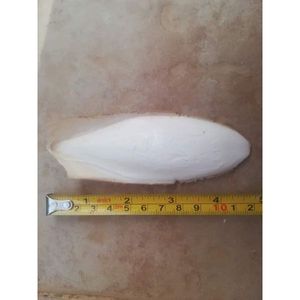 Os de seiche séché disponible pour l'alimentation des oiseaux en vrac - Product Image 3