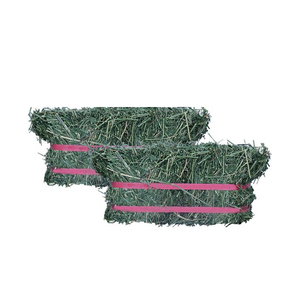 Venta al por mayor de heno de alfalfa alimento proteico sostenible a base de hierba para ganado porcino caballo complementado con maíz - Product Image 1