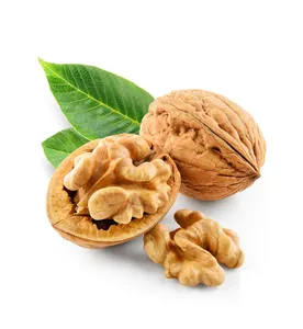Wholesale Natural Organic Dried Fruit Walnut Kernel Walnuts