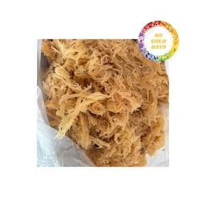 Algues cottonii séchées au soleil de haute qualité Ingrédient idéal pour les repas savoureux Collations saines et salades fraîches - Product Image 5