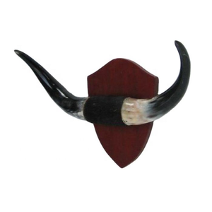 Cuerno de vaca de lujo hecho montado en la pared decoración búfalo vaca cuerno montado lujo decoración del hogar Accesorios buey cuerno pared por Tradebit - Product Image 5