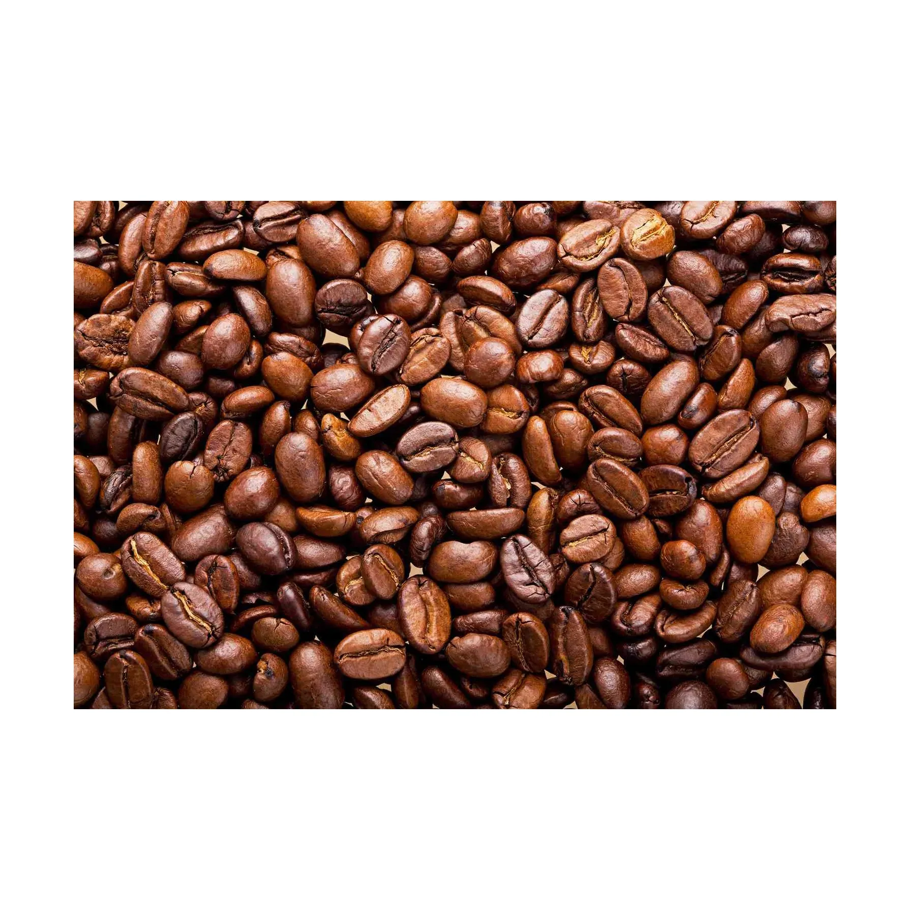 थोक 100% शुद्ध जैविक कॉफी G1Q1 अरेबिका कॉफी बीन्स