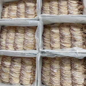 FRESH DRIED SQUID / GOURMET SEAFOOD in VIETNAM/ the BEST SQUID for YOU DRIED DIRECTLY to ENSURE FRESHNESS - Product Image 4