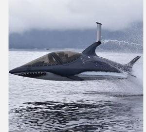 AUTOPARK CALIDAD CALIENTE 2023 / 2024 Fábrica Seabreachers Z Sumergible Watercraft - Product Image 1