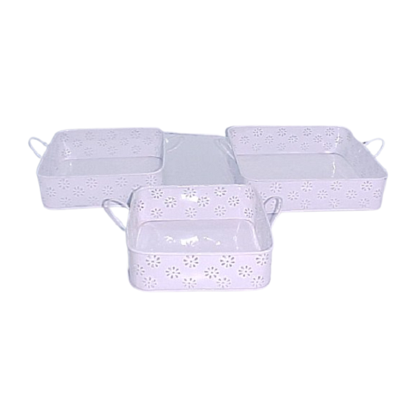 แสดงภาพ