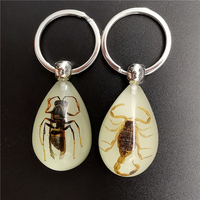 Porte-clés en résine luminescente en forme de goutte d'eau avec insectes, fourmis, scorpions, porte-clés pour garçons, tendance 2023