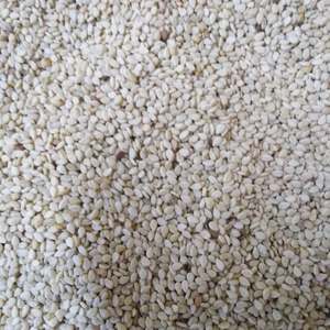 Semillas de Sésamo Sin Cáscara, No Transgénicas, de Grado Alimenticio, para Snacks Saludables y Producción de Aceite - Product Image 1