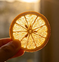 Natuurlijke 100% gedroogde zoete Gannan Navel sinaasappelblokjes/schijfjes voor snacks, bakkerij, drankjes, koffieshop, boba-thee