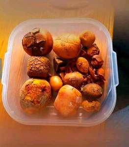 Pierres biliaires séchées de boeuf de bétail (bézoards) - Product Image 2