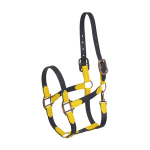 Licou cheval en PVC de bonne qualité, équipement équitation étanche, licou cheval disponible au prix de gros - Product Image 1