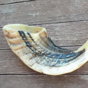 Corne de bélier authentique Shofar fabriquée à la main corne naturelle à des fins religieuses et décoratives - Product Image 4