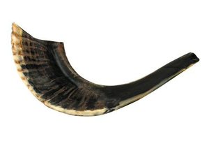 Shofar Natural de Cuerno de Carnero Kosher para Fines Religiosos, Cuerno de Oveja Pulido, Decoración del Hogar con Estilo Náutico, Estilo Amoroso - Product Image 5