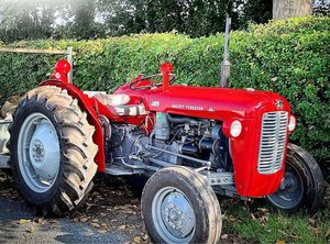 Tractor Massey Furguson MF290 - Product Image 4
