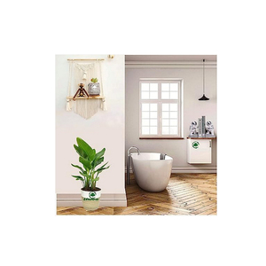 Nuevo diseño personalizado gran macramé estante colgante de pared bohemio interior cuerda planta colgador elegante decoración del hogar Almacenamiento de vidrio mejor precio - Product Image 2