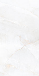 Todos los tiempos disponibles Azulejos de porcelana de diseño regular Azulejos de pared para sala de conferencias. - Product Image 4