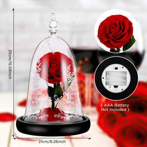 Type classique Rose Beauty <span class=keywords><strong>Rosa</strong></span> <span class=keywords><strong>Bella</strong></span> E Bestia 100% vraie Rose préservée Beauté et la bête avec lumière LED pour la Saint-Valentin - Product Image 2