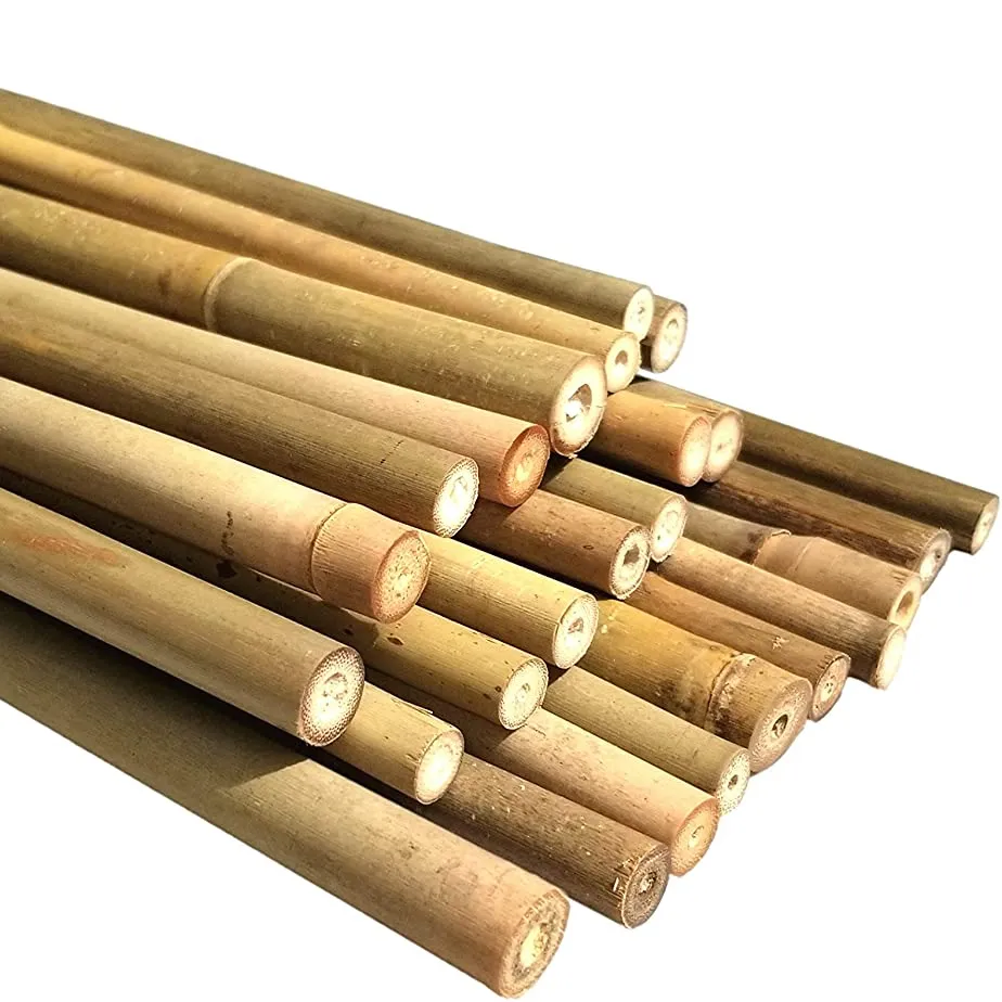 Natural and Raw Material Bamboo Stake/Bamboo Cane/Bamboo Pole With Custom Size For Agriculture, Support Plant Made in Eco2go Vie