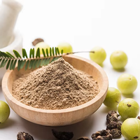 Poudre d'Amla biologique naturelle, issue de fruits de groseille indienne frais, extrait séché propre, quantité en vrac pour exportateur indien